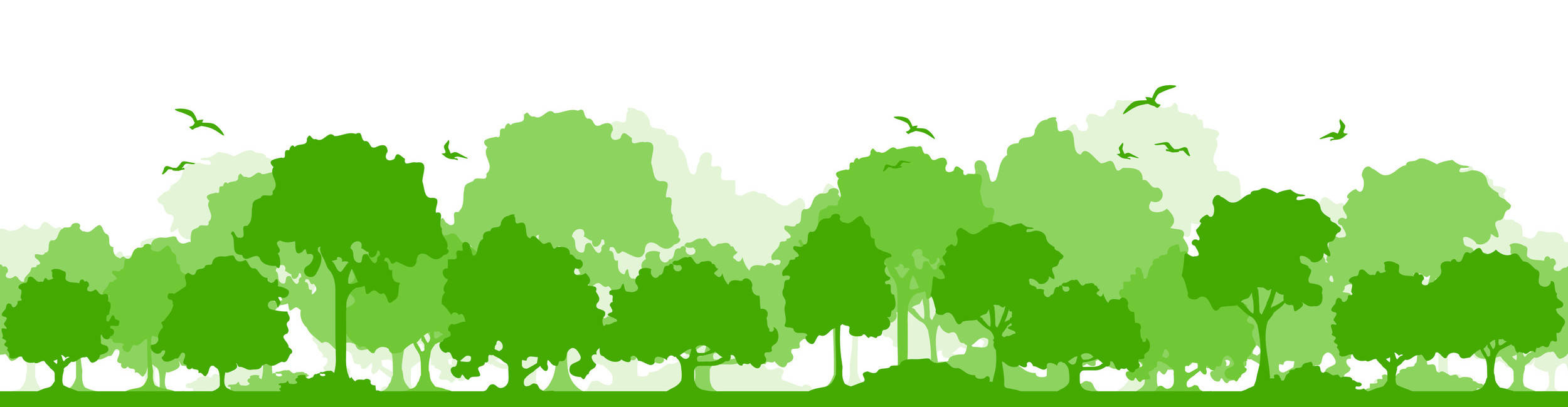 entretien de jardins en charente